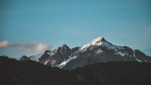 Read more about the article Consectetur adipiscing elit